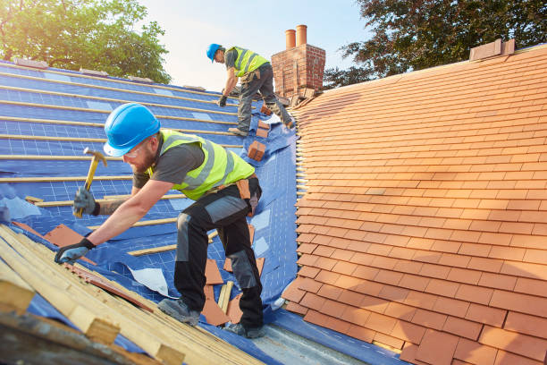 Best Asphalt Shingle Roofing  in Sarand, AL